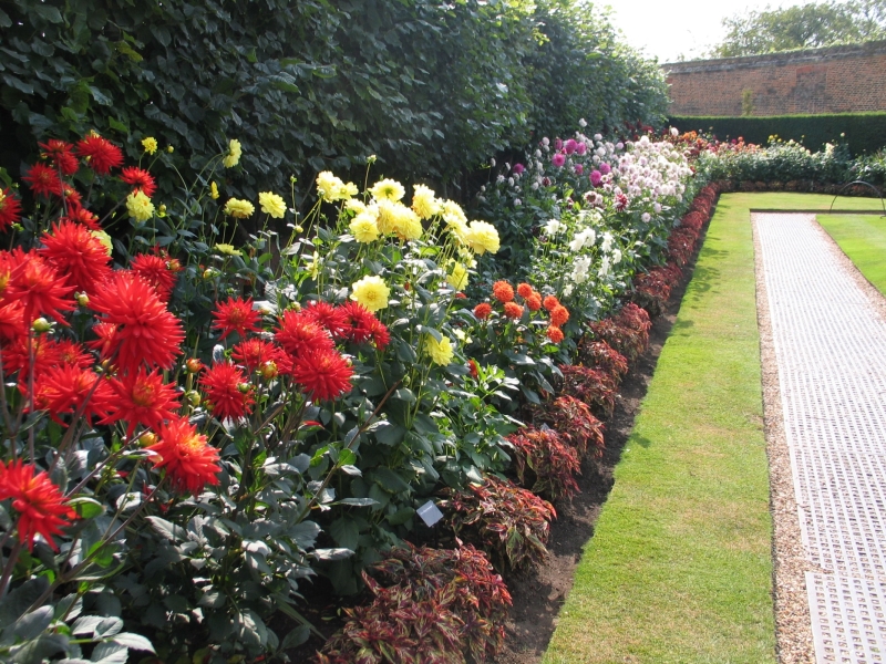 Hampton Court Palace